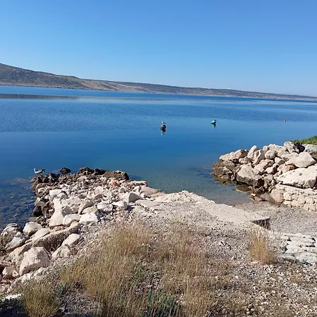 Bellevue * Maslenica