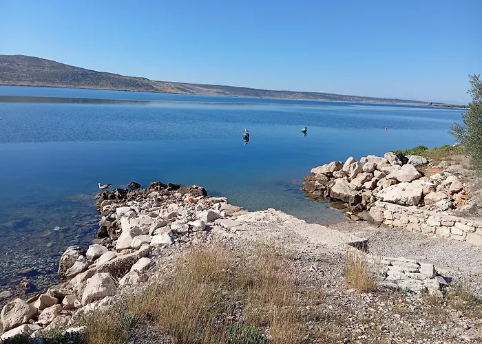 Bellevue * Maslenica